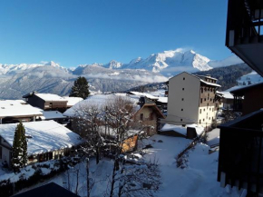 Vue Mont Blanc et toute la chaîne